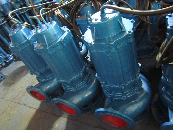 自動(dòng)潛水排污泵